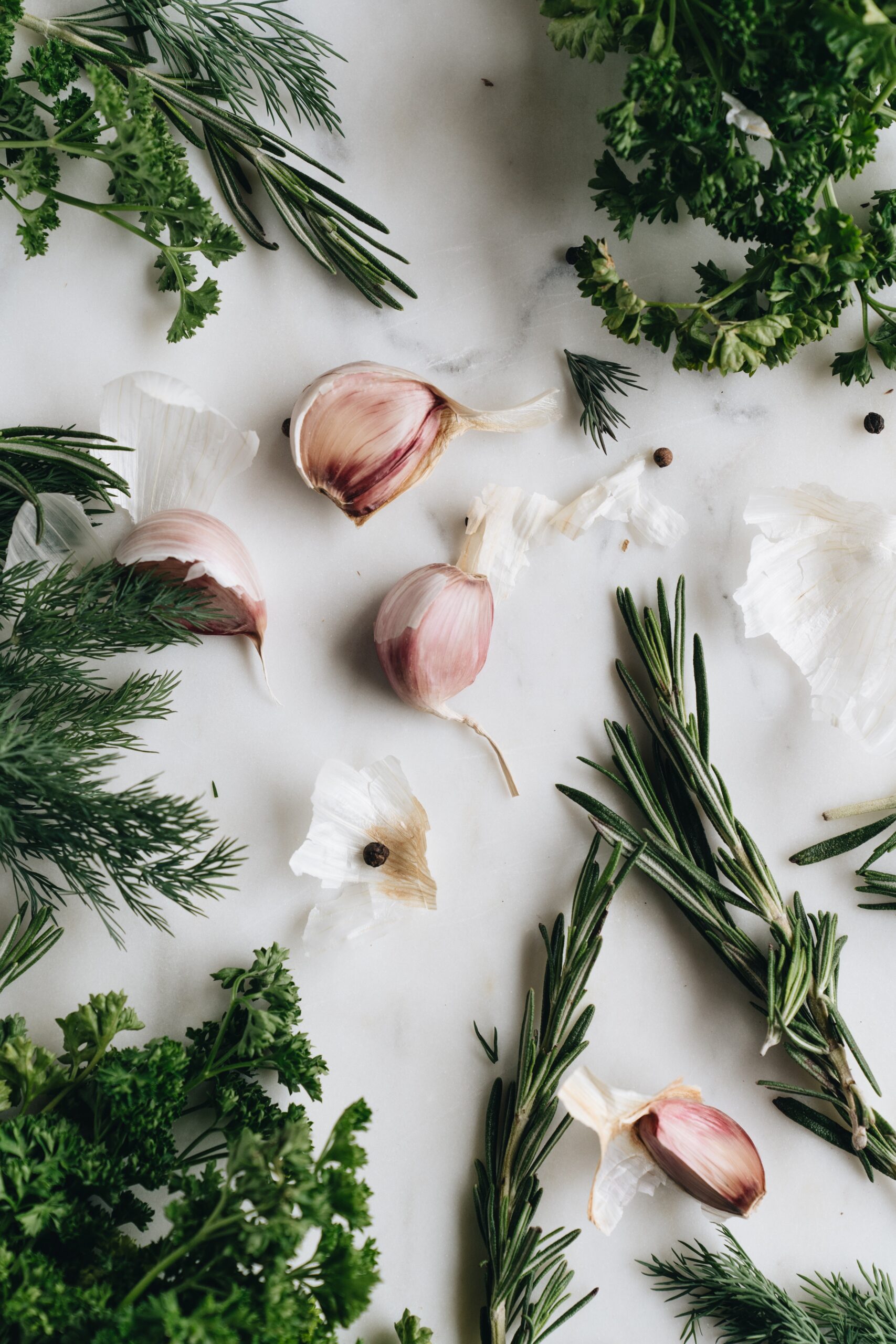 tanaman teh herbal china enggal dangan sehat bermanfaat sembuhkan sakit
