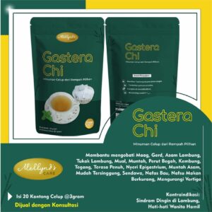 Herbal china mengatasi maag gerd asam lambung kembung perut terasa penuh bagah vertigo